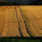 Die Muster wurden geschnitten Wülfrath-Düssel