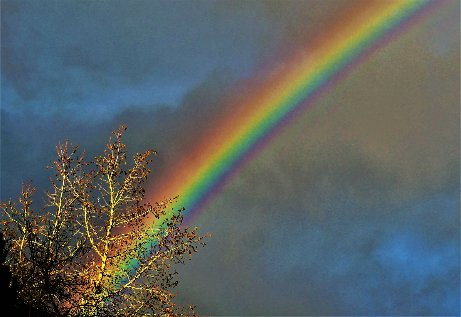 Die Mutter der Regenbögen ....