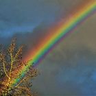 Die Mutter der Regenbögen ....