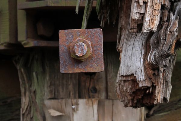 die Mutter hat gehalten