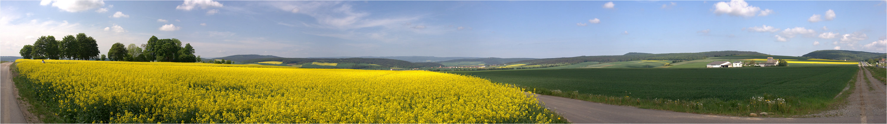 Die Mutter im Rapsfeld