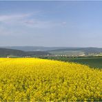 Die Mutter im Rapsfeld