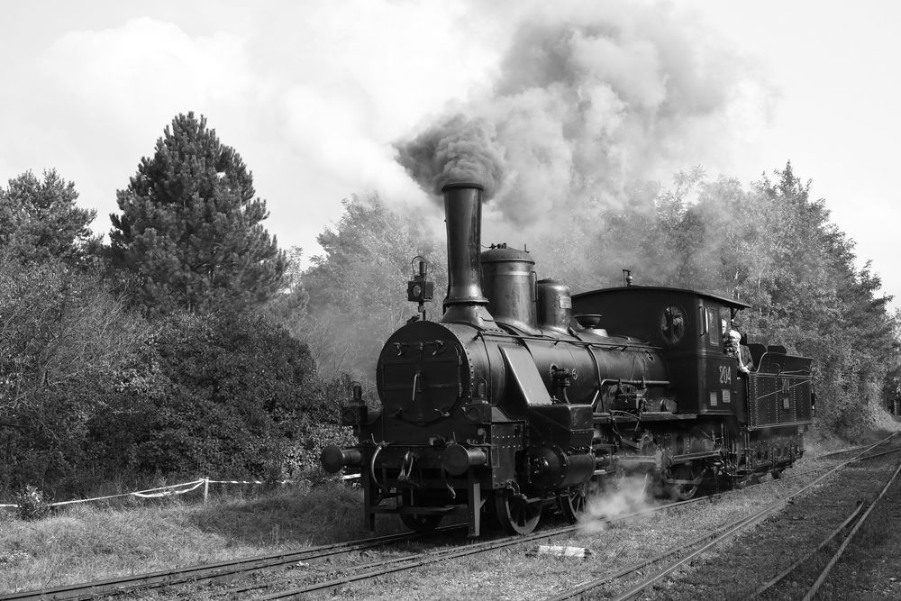 Die MÁV 204 im Eisenbahnmuseum Strasshof