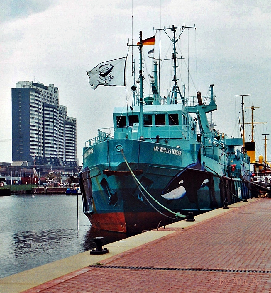 Die M.Y. WHALES FOREVER ............in Bremerhaven, (Scan eines Photos von 1994)