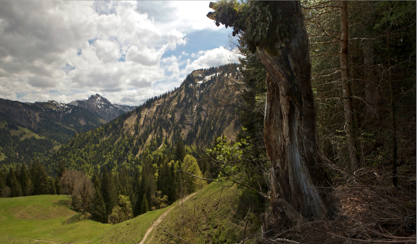 Die Mystik der Alpen