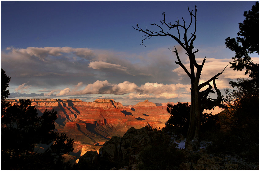 die mystik des canyons ...