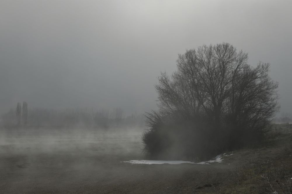 Die Mystik einer Nebellandschaft