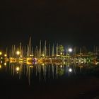 Die Nacht am See