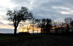 die nacht beginnt....