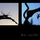 ~ die nacht beginnt ~