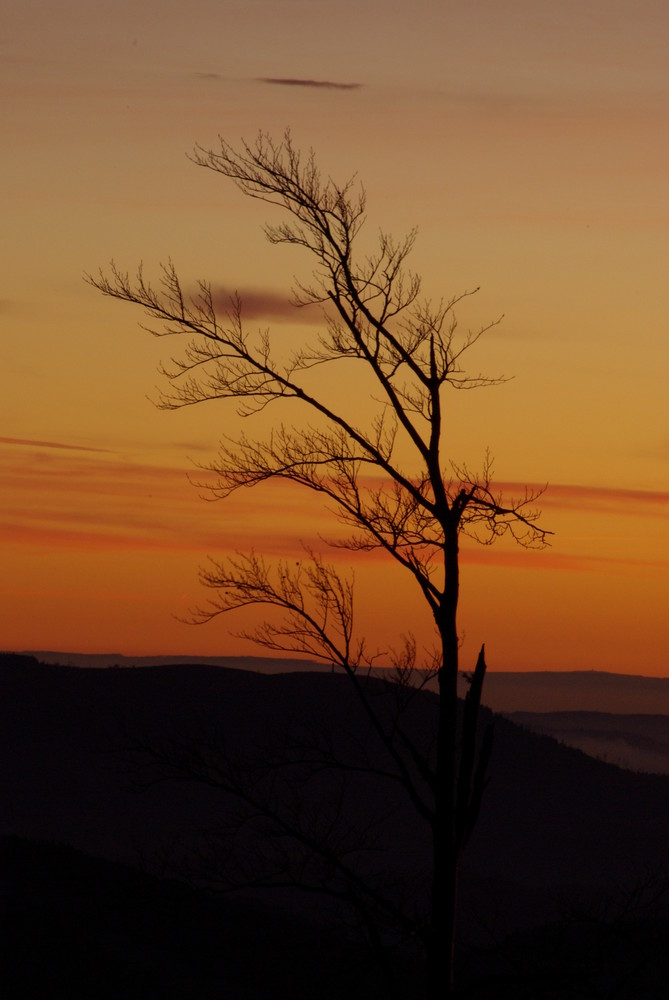 Die Nacht bricht ein - Im Schwarzwald