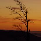 Die Nacht bricht ein - Im Schwarzwald