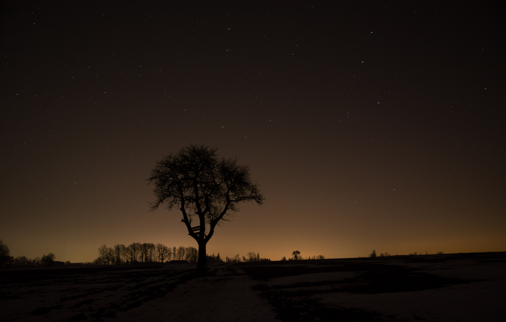 Die Nacht der Sterne