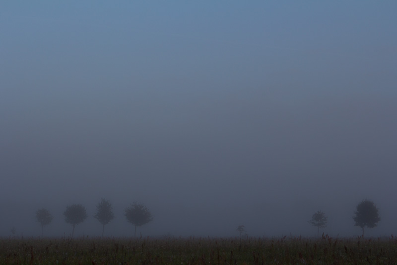 Die Nacht gibt den Weg frei