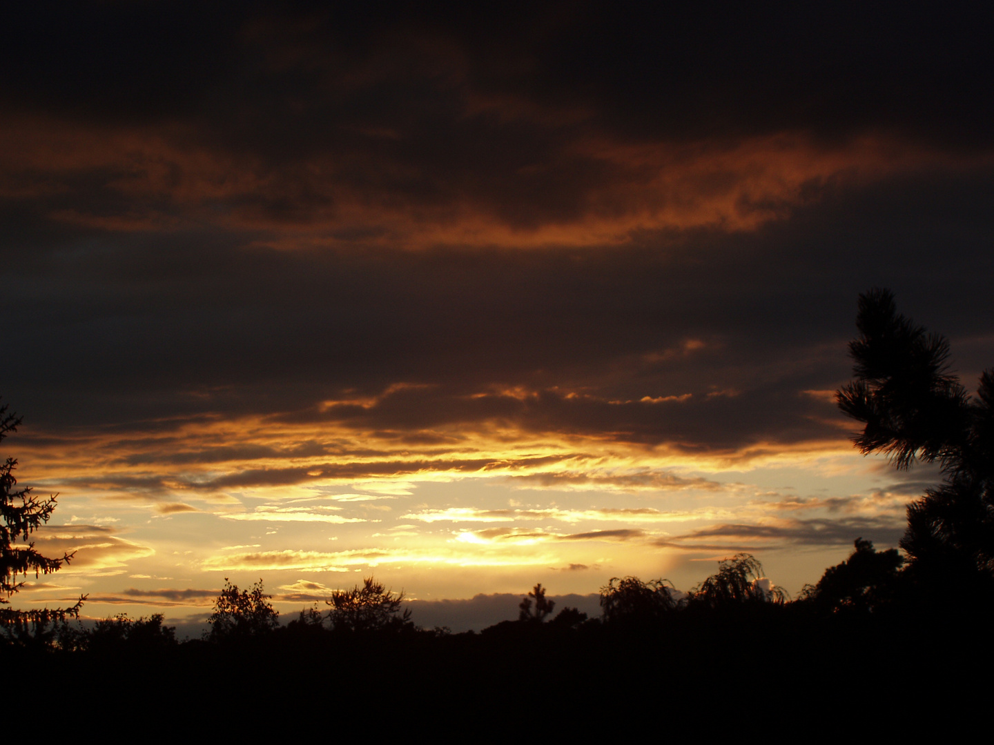 Die Nacht ist schon greifbar