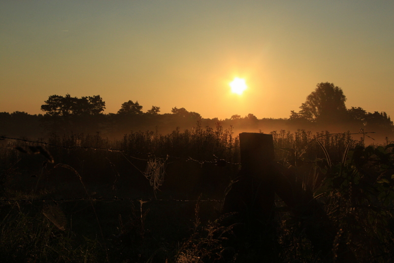 Die Nacht ist vorbei und die Sonne kehrt zurück