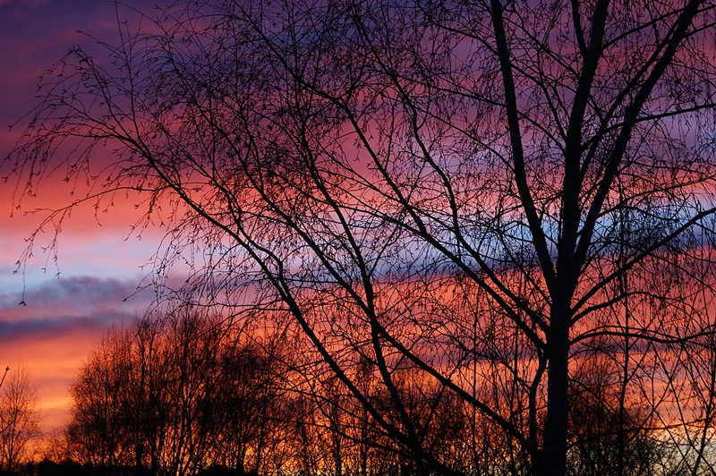 die nacht kommt.