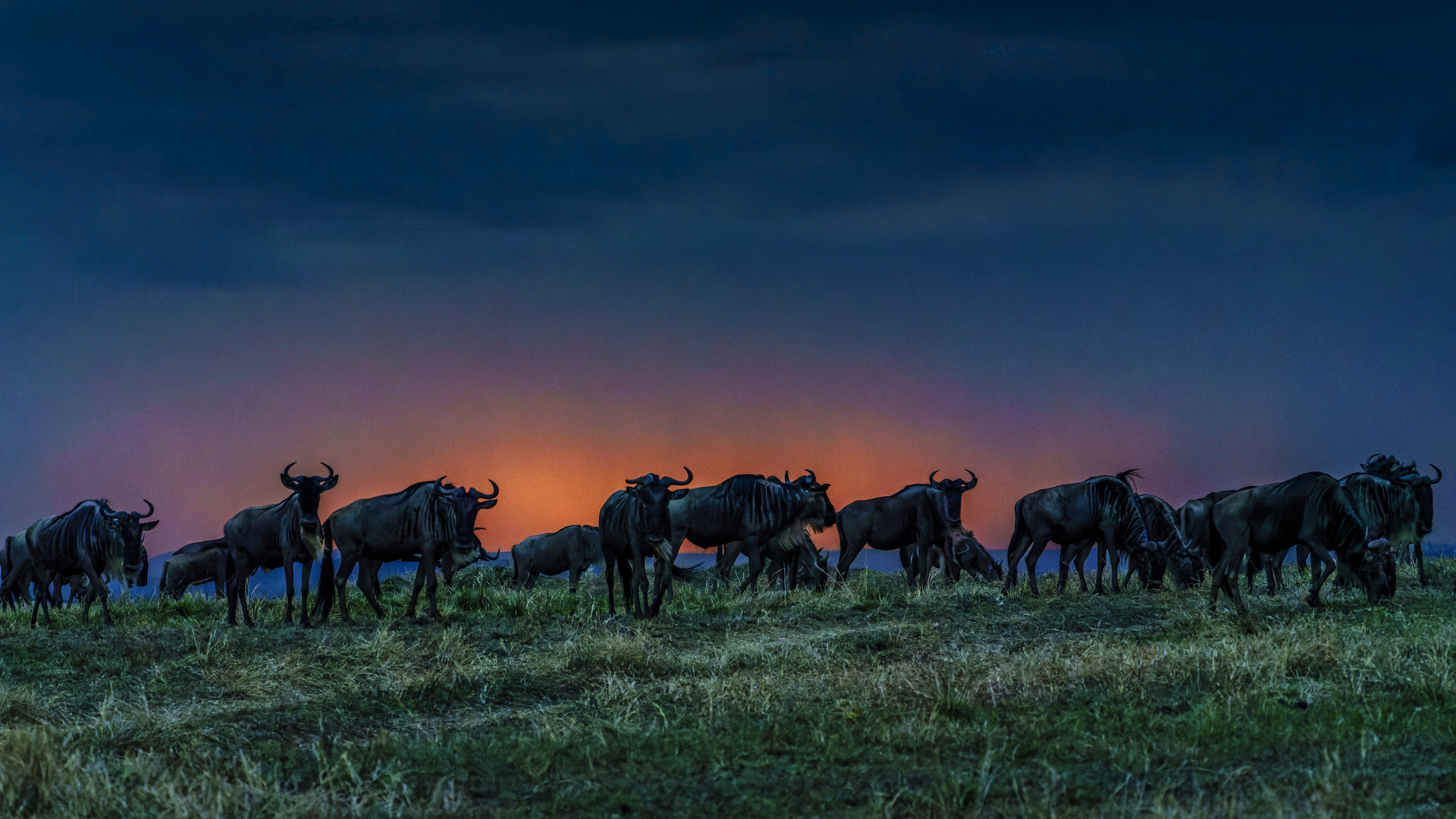 Die Nacht kommt über die Massai Mara 01, 2021.08.03