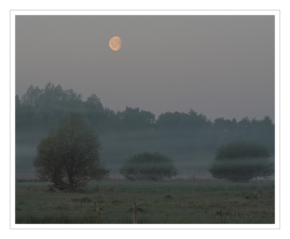 Die Nacht weicht...