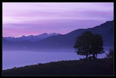 Die Nacht weicht langsam...