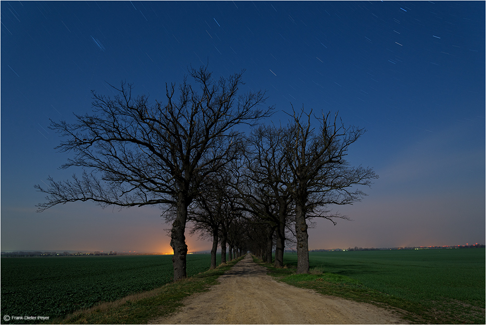 Die Nacht zum Tag gemacht