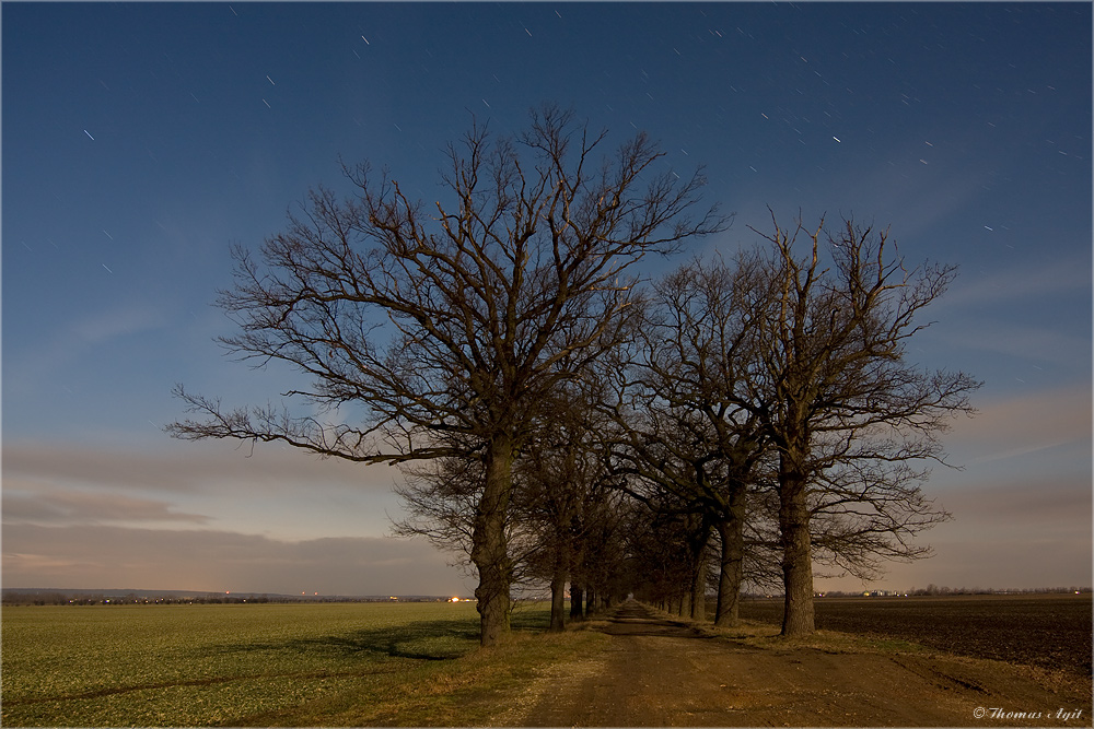 Die Nacht zum Tag gemacht...