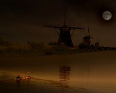 Die Nachtschwimmer von Kinderdijk