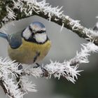 die nächste Eiszeit