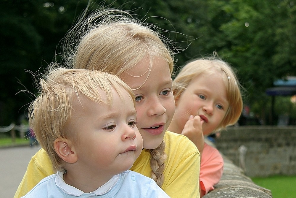 "Die nächste Generation wächst heran...drei Geschwister, ein Ziel"...