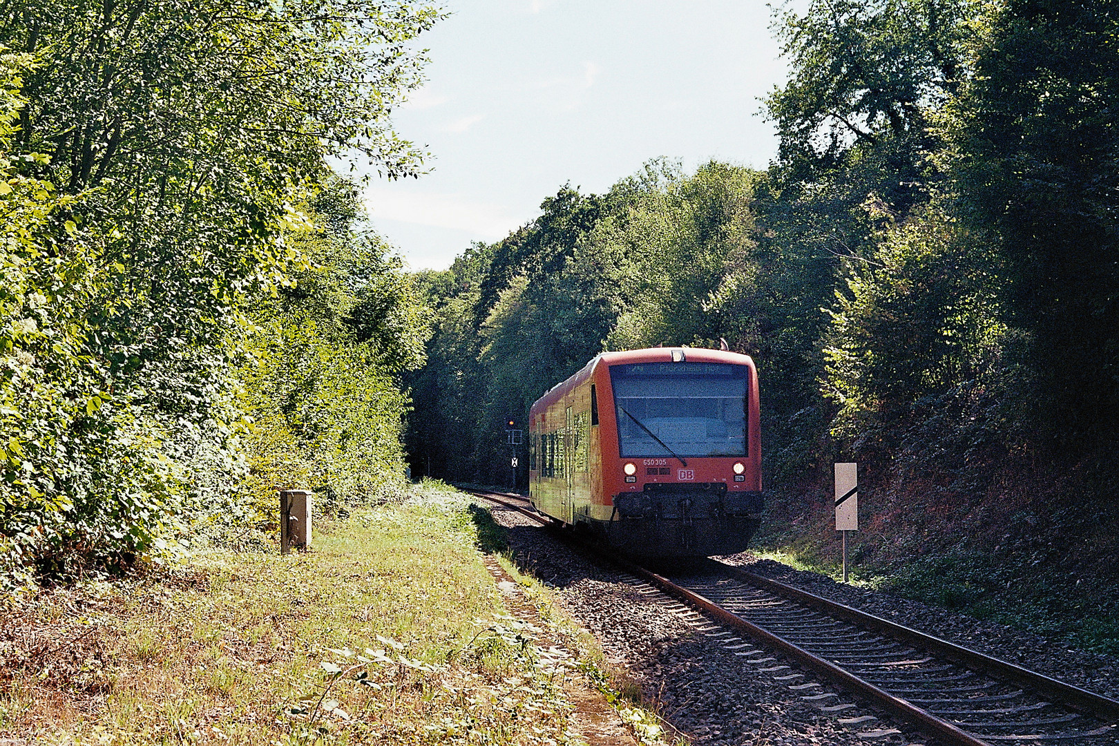 die Nagoldtalbahn (10)