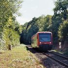 die Nagoldtalbahn (10)