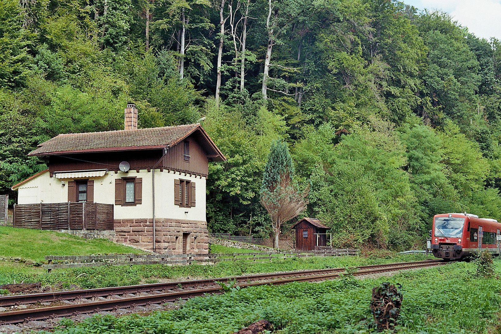 die Nagoldtalbahn (11)