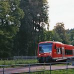 die Nagoldtalbahn (12)