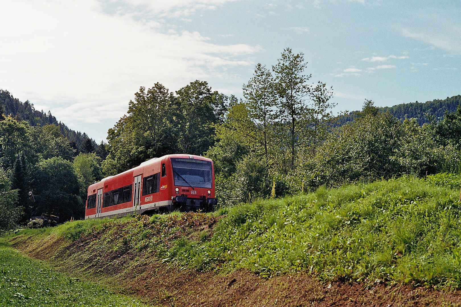 die Nagoldtalbahn (13)