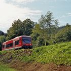 die Nagoldtalbahn (13)