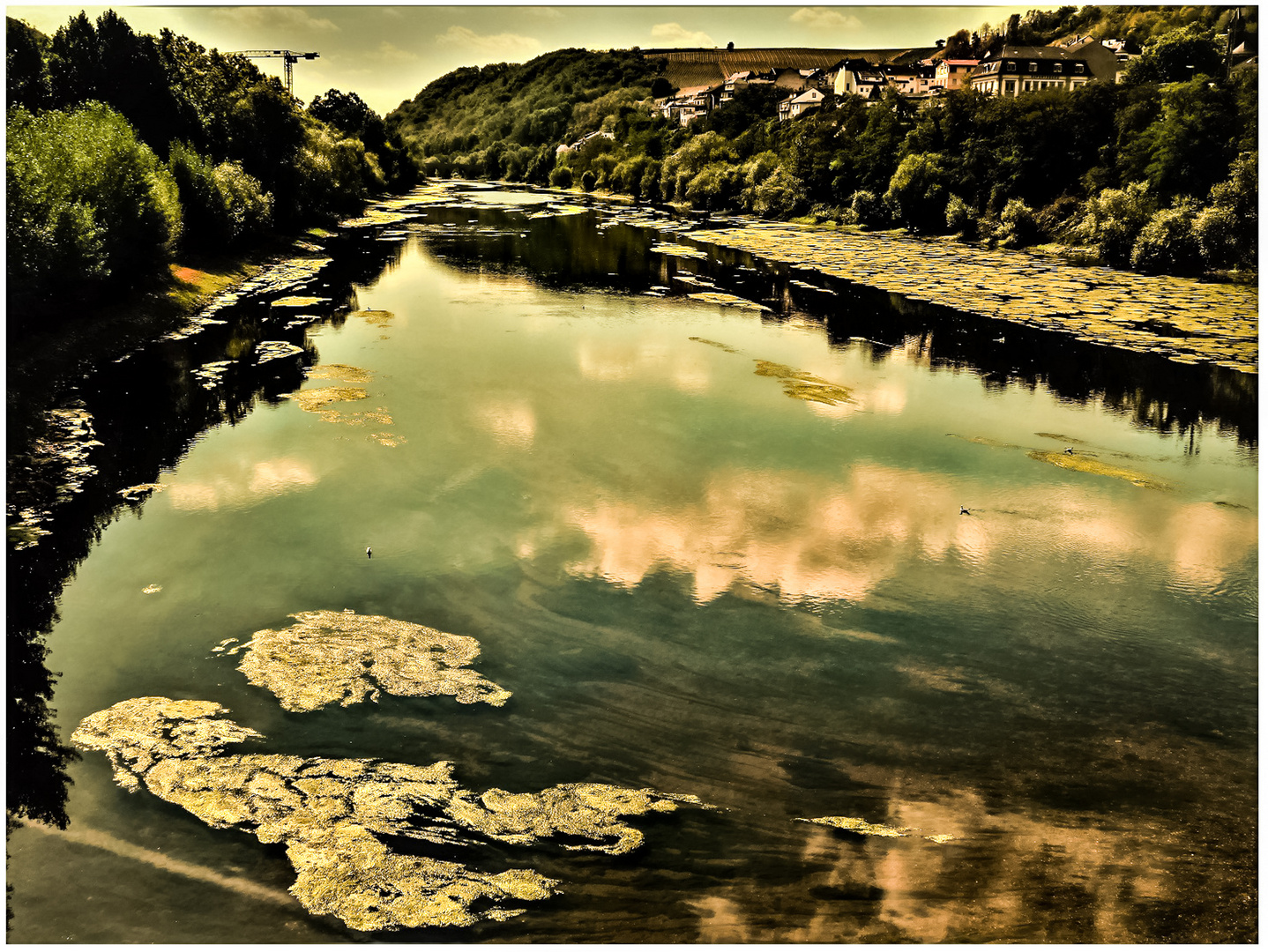 Die Nahe Foto & Bild spezial, natur, landschaft Bilder auf