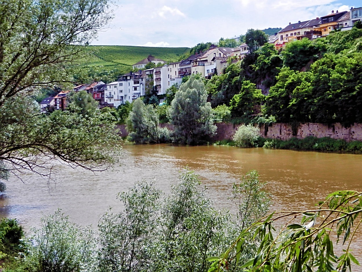 Die Nahe bei Bingen