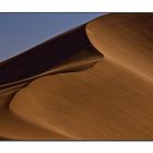 Die Namib # 1