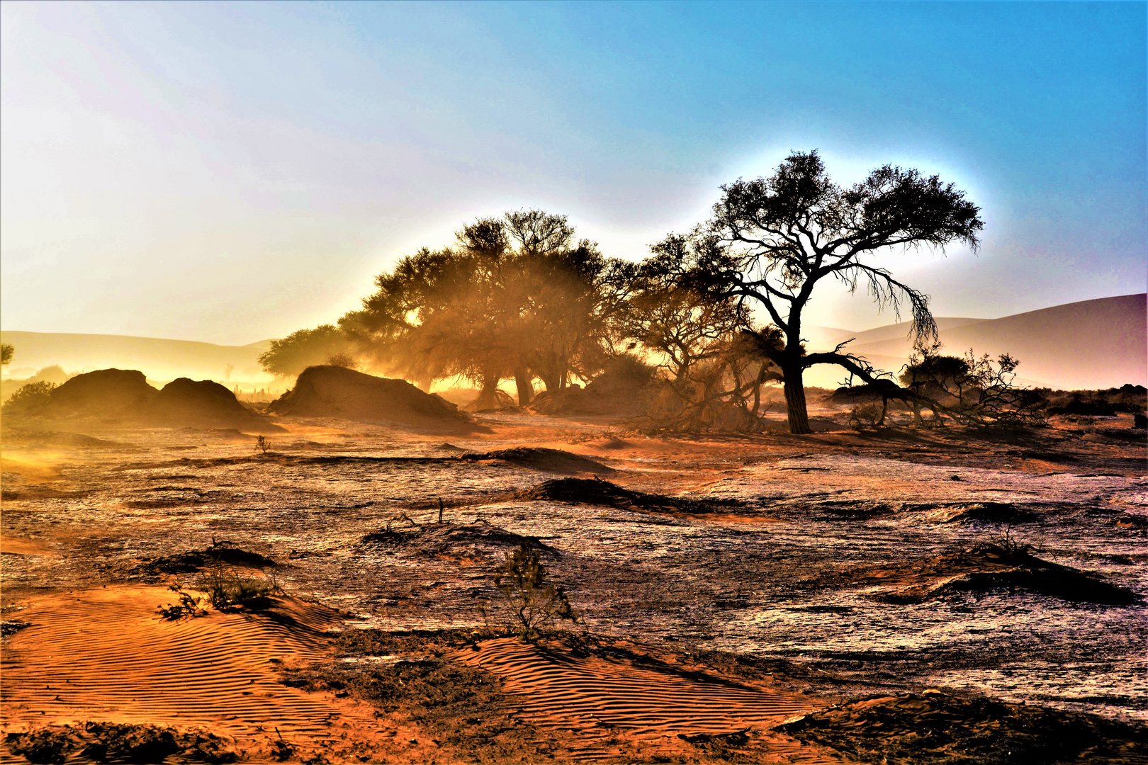 Die Namib