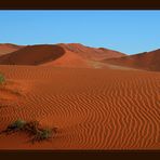 Die Namib