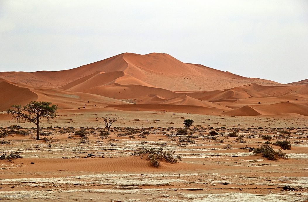 Die Namib