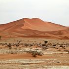 Die Namib