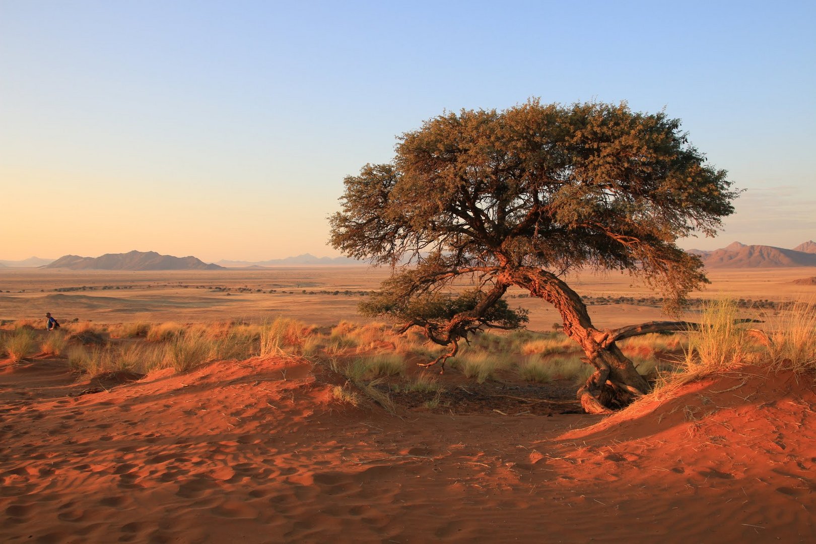 Die Namib