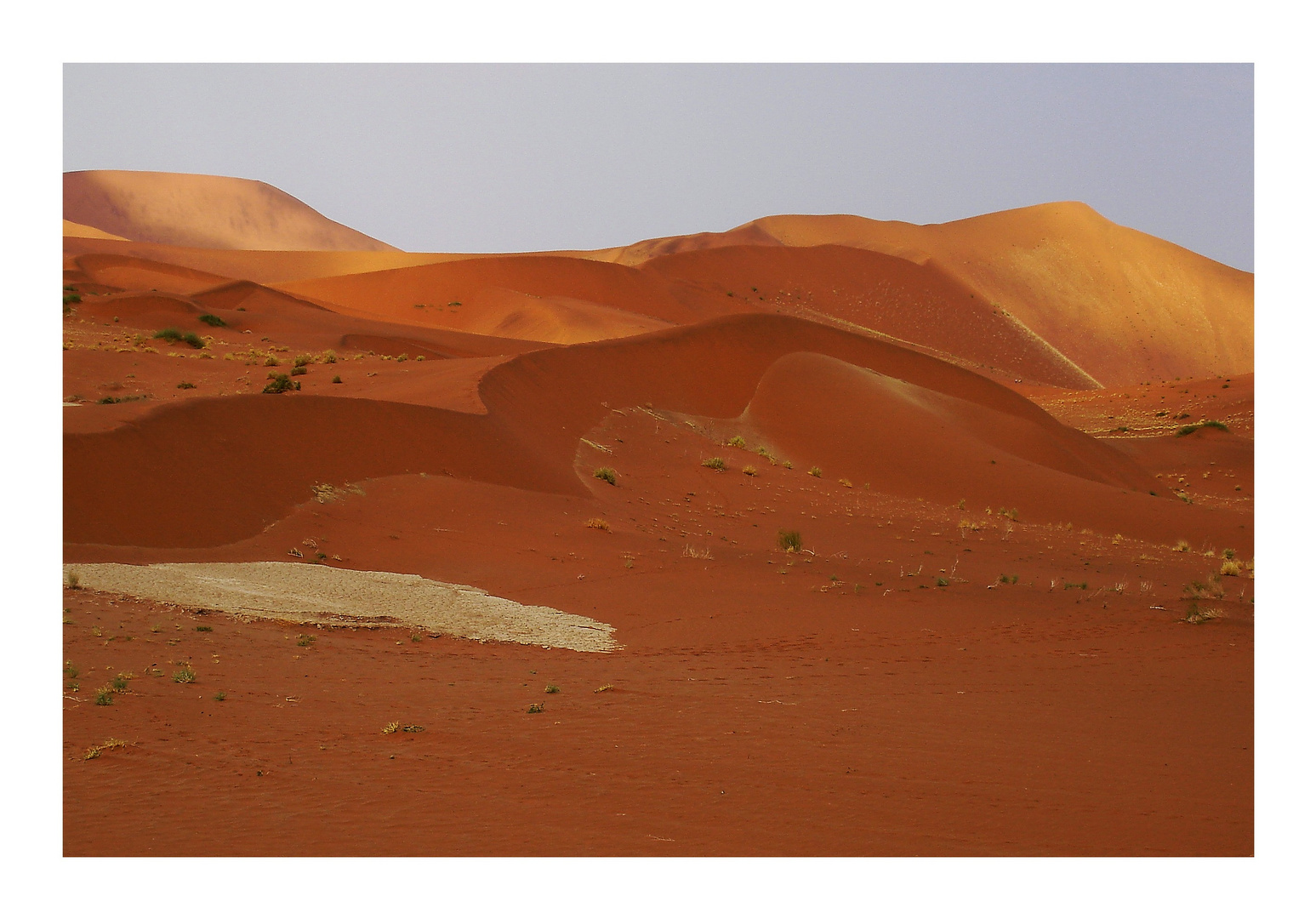 die Namib