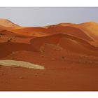 die Namib