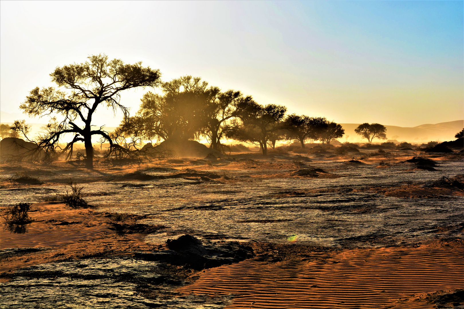 Die Namib