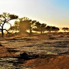 Die Namib