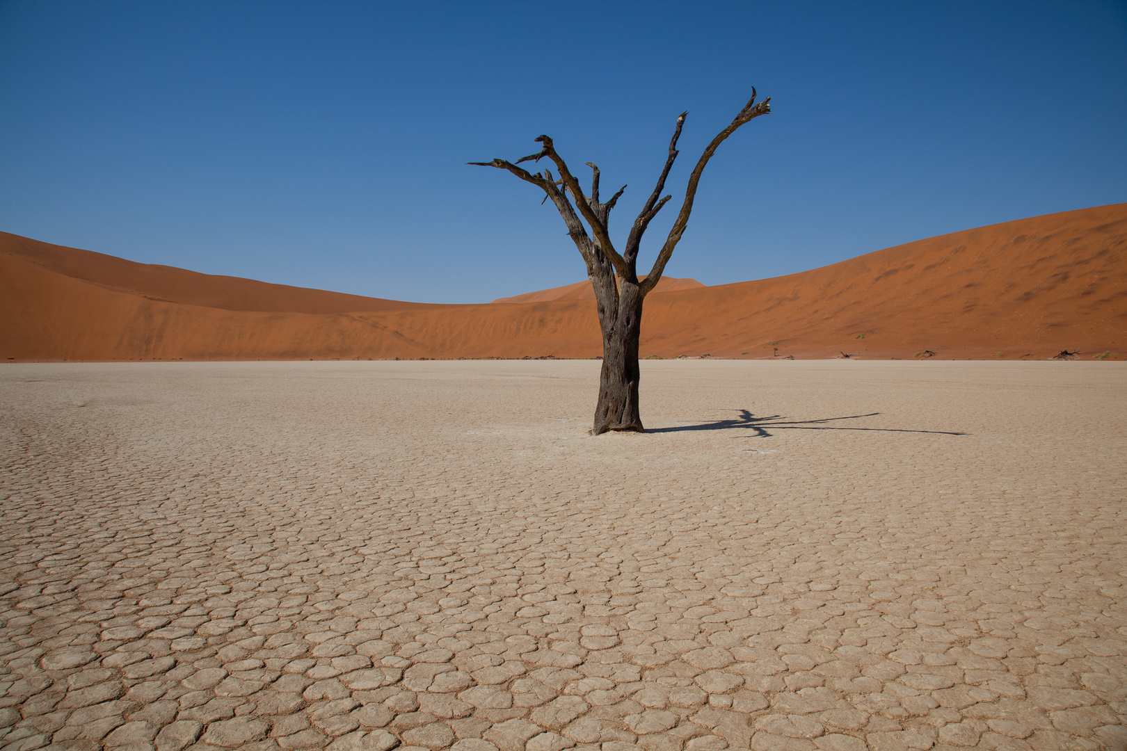 Die Namib