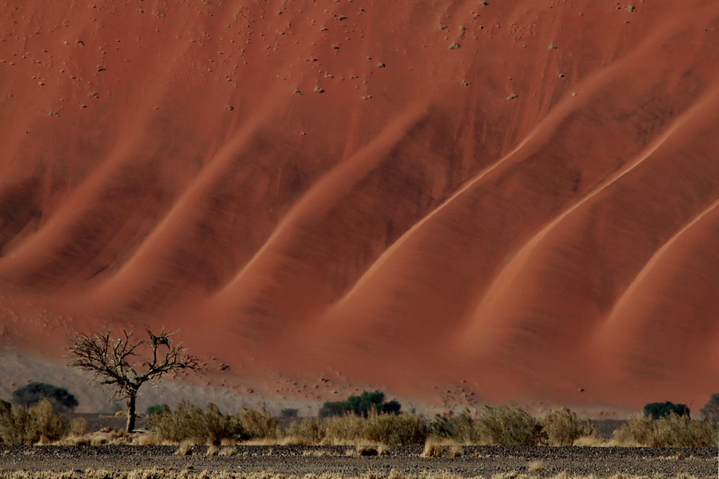 Die Namib