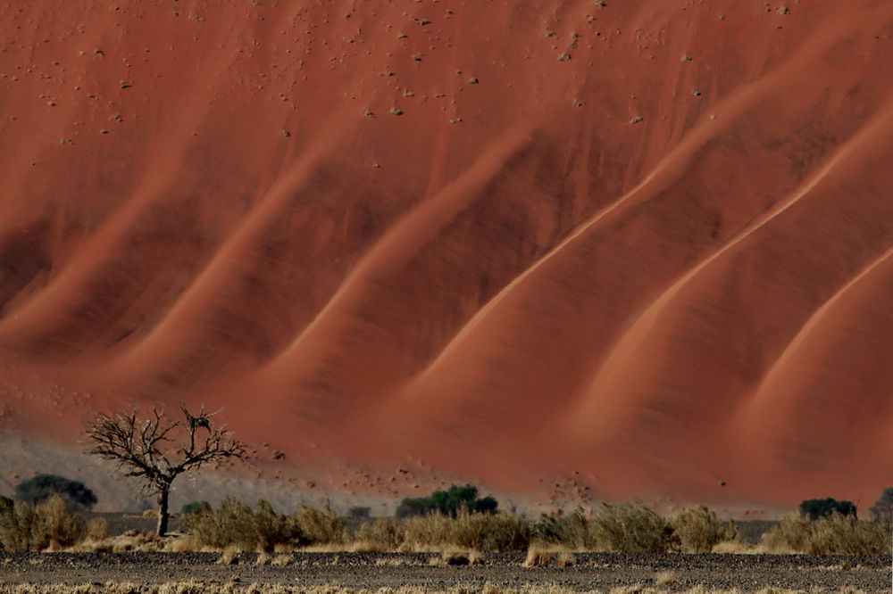 Die Namib